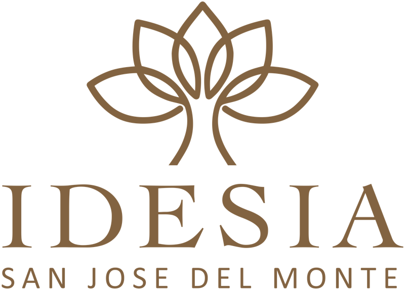 Idesia San Jose Del Monte